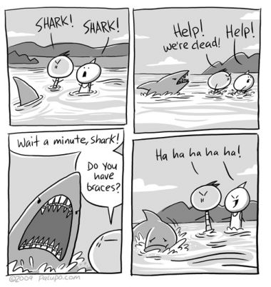 Shark